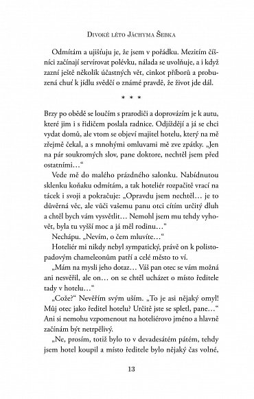 Náhled Divoké léto Jáchyma Šebka