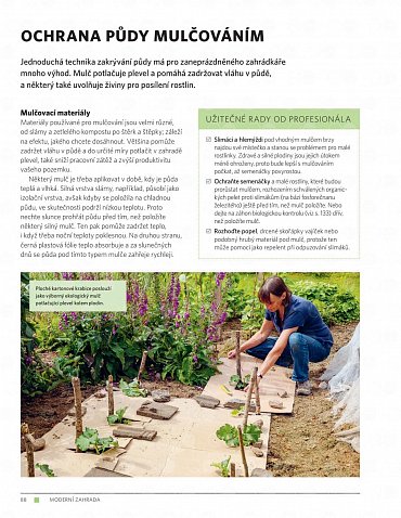 Náhled Moderní zahrada