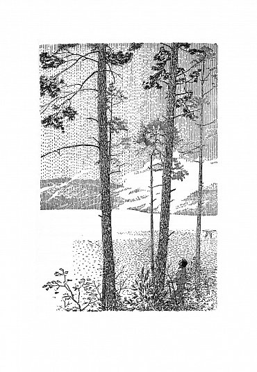 Náhled Walden aneb Život v lesích