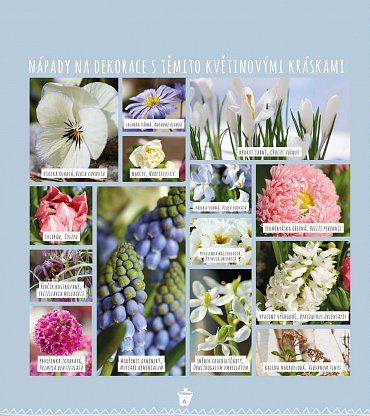 Náhled Zahrada v nádobách - Moje kvetoucí inspirace pro venek