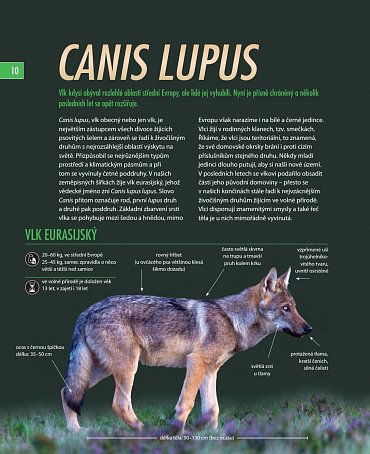 Náhled Vlci - Na toulkách s fotografem zvířat Axelem Gomillem