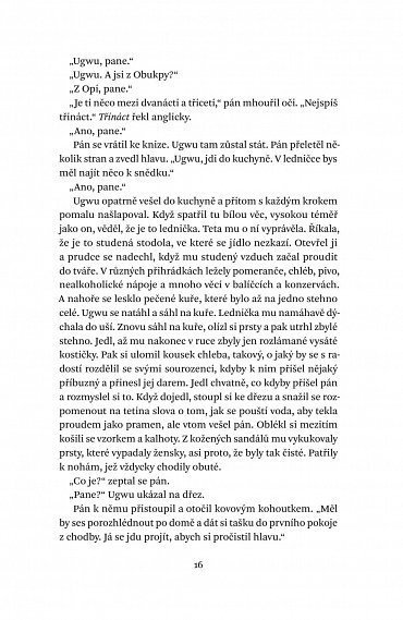 Náhled Půl žlutého slunce, 2.  vydání