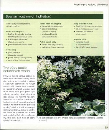 Náhled Nová zahrada pro inteligentní lenochy - Zahradničíme v souladu s přírodou