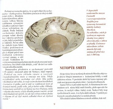 Náhled Muzeum záhad - Slezskoostravský hrad, 2.  vydání