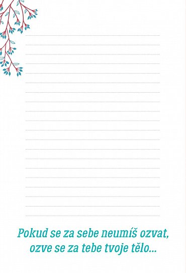 Náhled Motivační deník s afirmacemi Jana Menděla