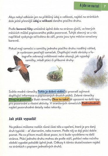 Náhled Ptáci - Poznej 85 zajímavých druhů