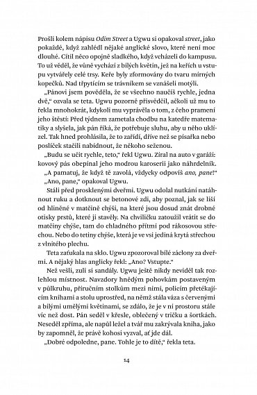 Náhled Půl žlutého slunce, 2.  vydání