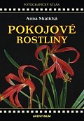 Pokojové rostliny