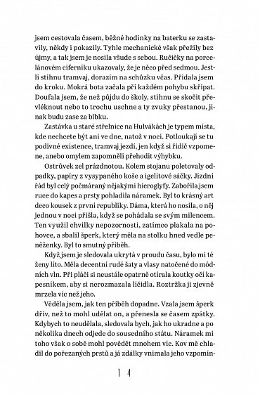 Náhled Střípky času