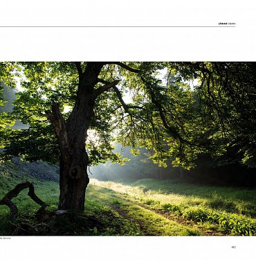 Náhled Lánská obora v proměnách času