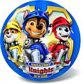 Míč Tlapková patrola/Paw patrol nafouknutý 23cm modrý v síťce