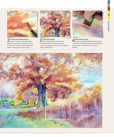 Náhled Techniky akvarelu