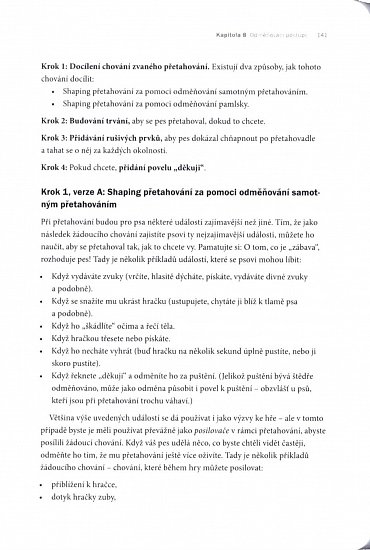 Náhled Agility - Od startu až k cíli