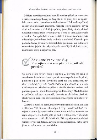 Náhled Krátký návod, jak udělat psa šťastným - 98 základních tipů a technik