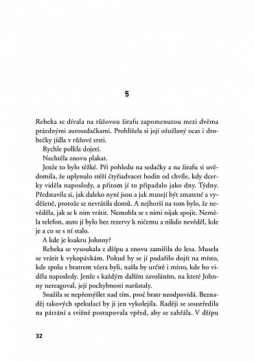 Náhled Ztracené střípky