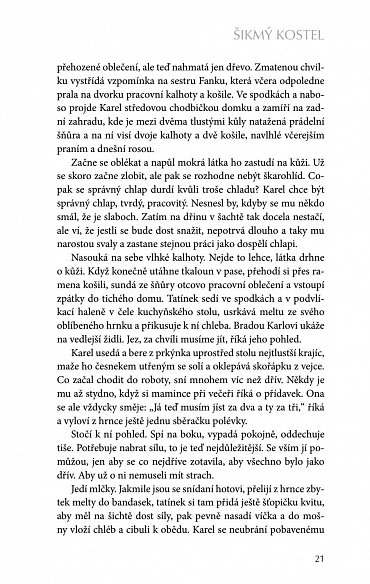 Náhled Šikmý kostel - Románová kronika ztraceného města, léta 1894-1921