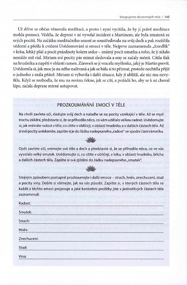 Náhled Velká kniha meditačních technik - Jednoduchá cvičení pro každodenní problémy