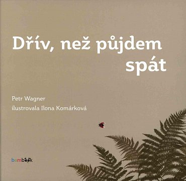 Náhled Dřív, než půjdem spát