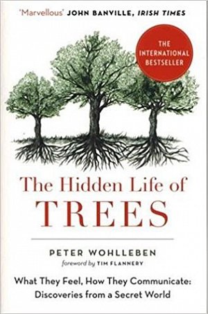 The Hidden Life of Trees : The International Bestseller - What They Feel, How They Communicate