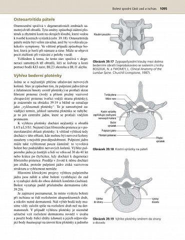 Náhled Praxe čínské medicíny - Léčba onemocnění pomocí akupunktury a čínských léčivých směsí
