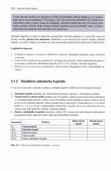 Náhled Jak číst účetní výkazy - Základy českého účetnictví a výkaznictví