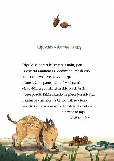 Náhled Kamarádi z Medového lesa 3 - Všichni za jednoho