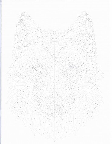 Náhled Oblíbená zvířátka - Vymalovánky