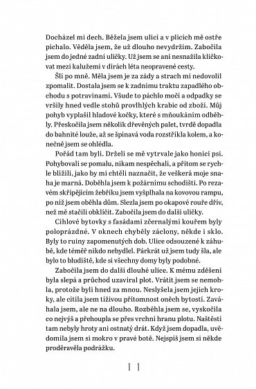 Náhled Střípky času