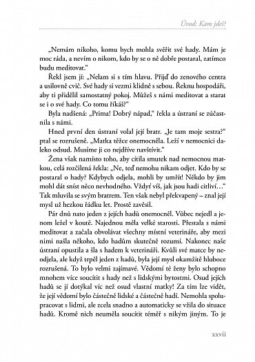 Náhled Zenový kompas