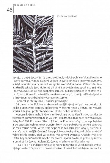 Náhled Medovice a včely