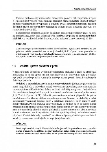 Náhled Překážky v práci na straně zaměstnance i zaměstnavatele