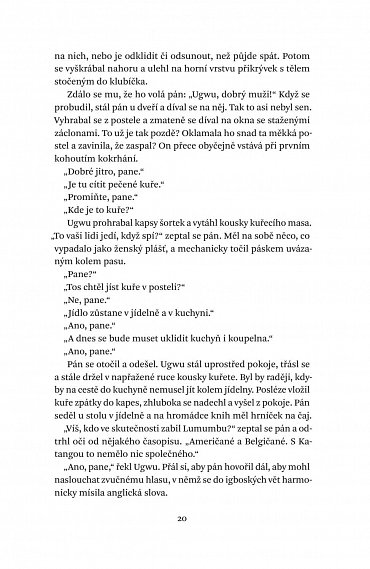 Náhled Půl žlutého slunce, 2.  vydání