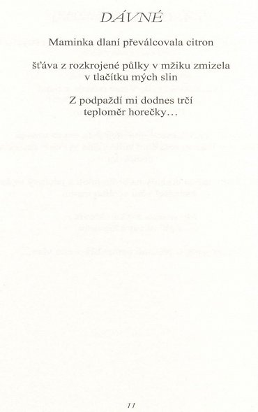 Náhled Úklid neklidu / Neklid úklidu (2017-2018)