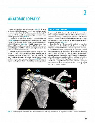 Náhled Zlomeniny lopatky