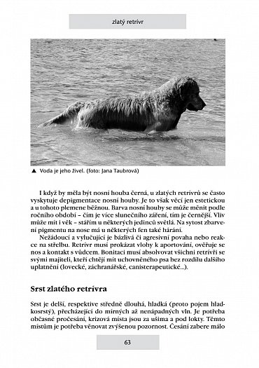 Náhled Retrívři a vodní psi