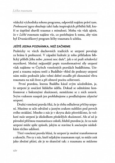 Náhled Léčba traumatu - Program probuzení moudrosti těla