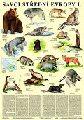 Plakát - Savci střední Evropy I. - Šelmy
