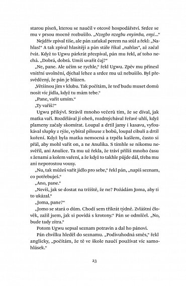 Náhled Půl žlutého slunce, 2.  vydání