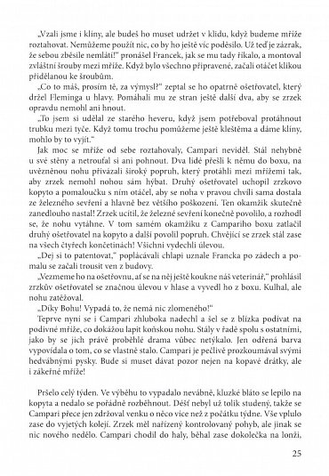 Náhled Když vzpomínky už nebolí!