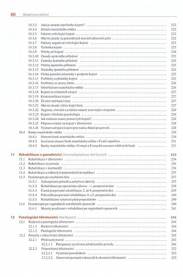 Náhled Moderní porodnictví