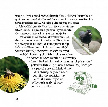 Náhled Dobrodružství medvídka mývala