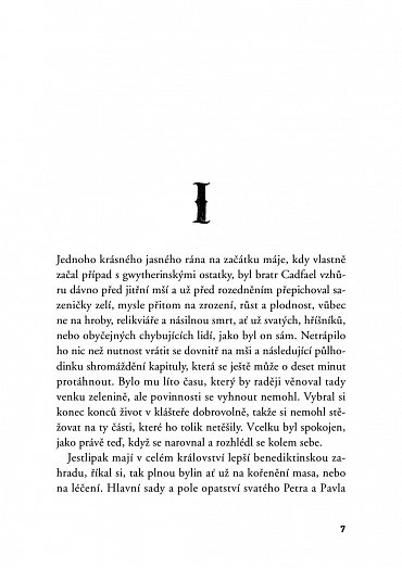 Náhled Zázrak svaté Winifredy