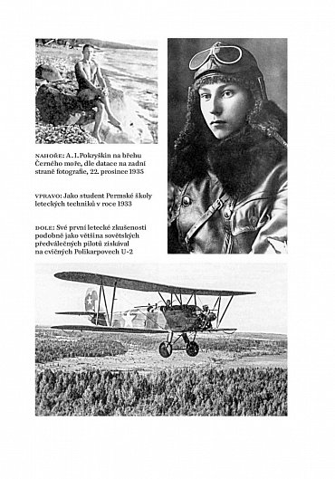 Náhled Křídla v boji