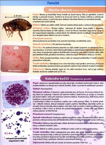 Náhled Parazité - Naučná karta