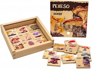 Pexeso klasické - Houby