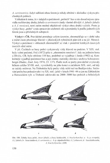 Náhled Ptáci 1 - Fauna ČR