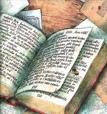 Náhled Dobrodružství pavouka Čendy, 2.  vydání