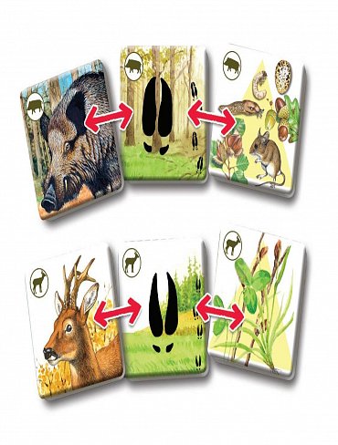 Náhled Pexetrio - Savci