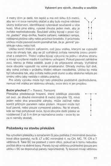 Náhled Pasení se psem - Sport, práce i zábava (nejen) pro každou borderku