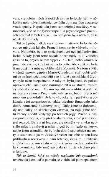 Náhled Kam včely chodí spát